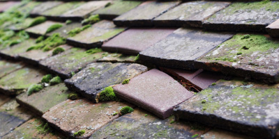 Longworth roof repair costs